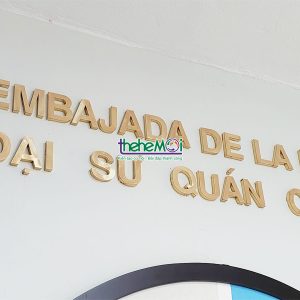 bien dong dai su quan 06