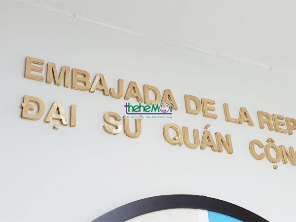bien dong dai su quan 06