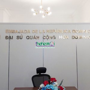 bien dong dai su quan 08