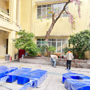 chu ton son tinh dien 13