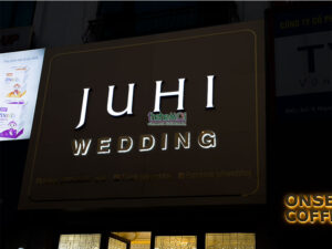 bien mat tien ao cuoi juhi 06